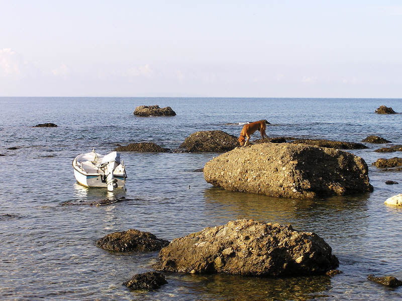 Near the harbour. (102k)