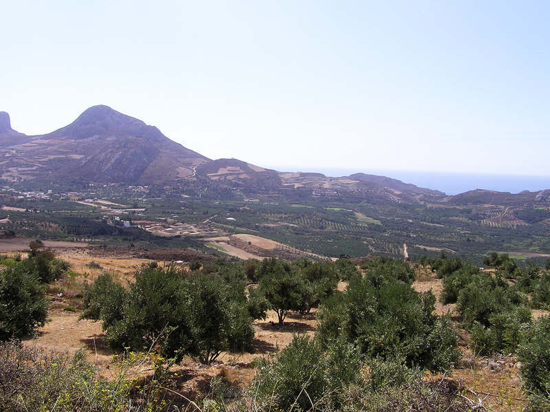 The Lefkogia plot among olive groves at centre left, as seen from the Assomatos-Mariou road.  (87k)