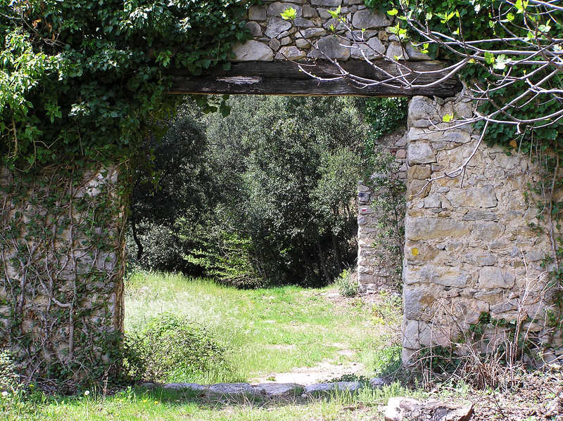 The trail continues on through the ruins of the farmhouse.  (141k)