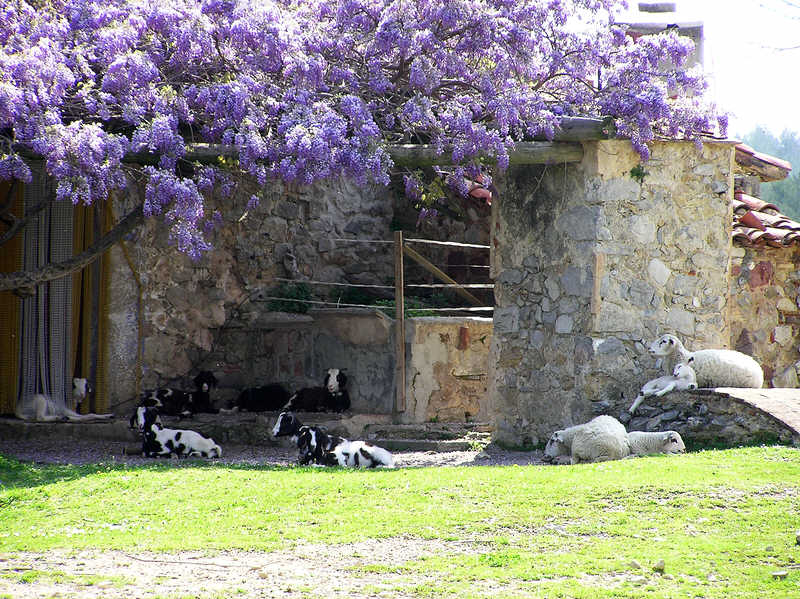 Farmhouse above Oix.  (117k). 