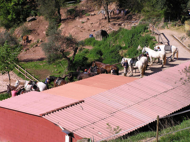 Riders saddling up their horses ready for the day's ride from Can Jou. (102k)