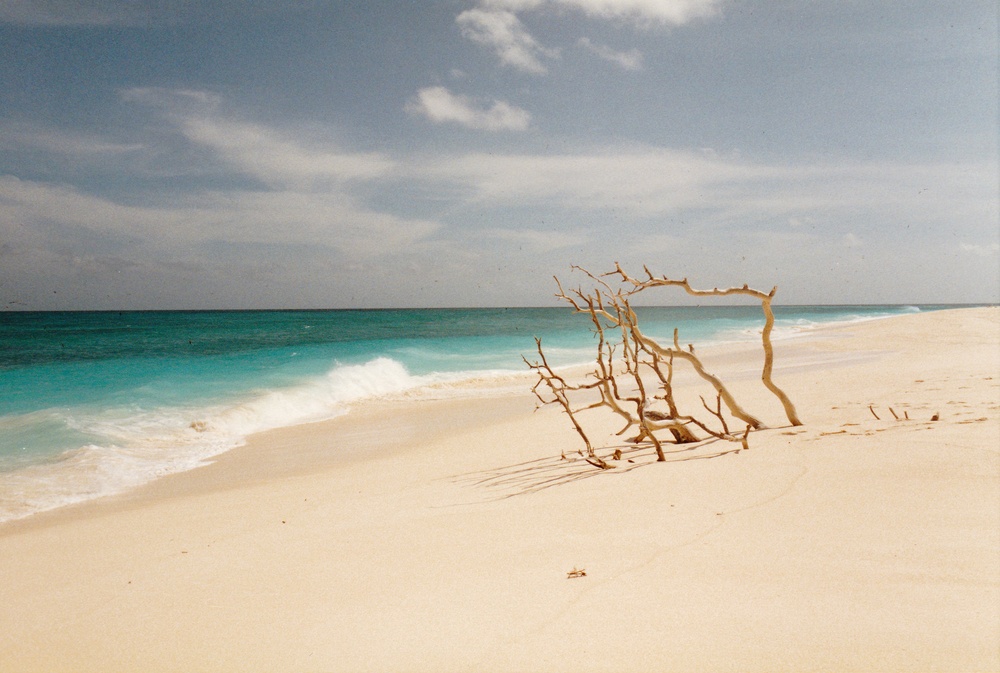 ou could walk around the island in an hour or so.  Just too idyllic for words.