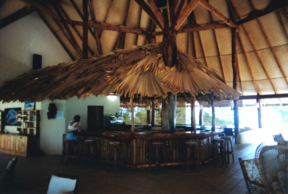 The bar area, complete with Madonna wannabe and her pet Fairy Tern...