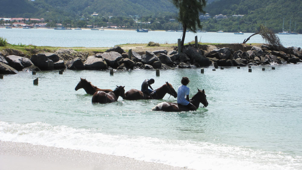For a small consideration these guys would let you ride their horses in the shallows. (137k)