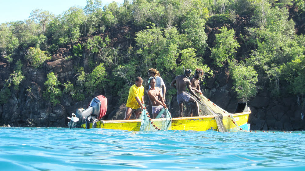 We'd just jumped into the water at Virgins' Cove, and were preparing to submerge, when these guys came and in no time hoovered up a netful of fish,
        while our St Lucian dive leader traded jocular insults with them in patois. (183k)