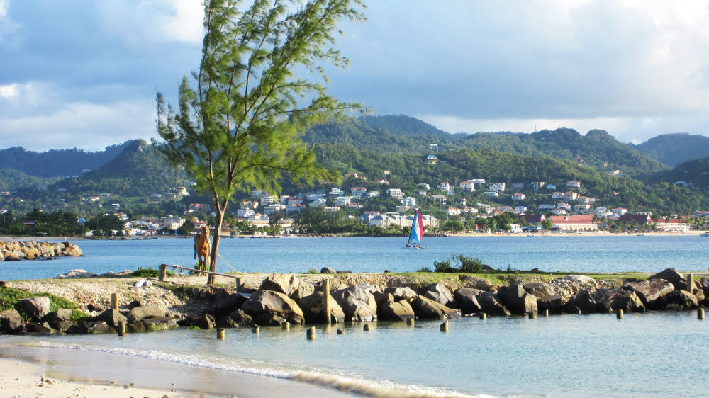 View from the beach across Rodney Bay to Gros Islet. (129k)