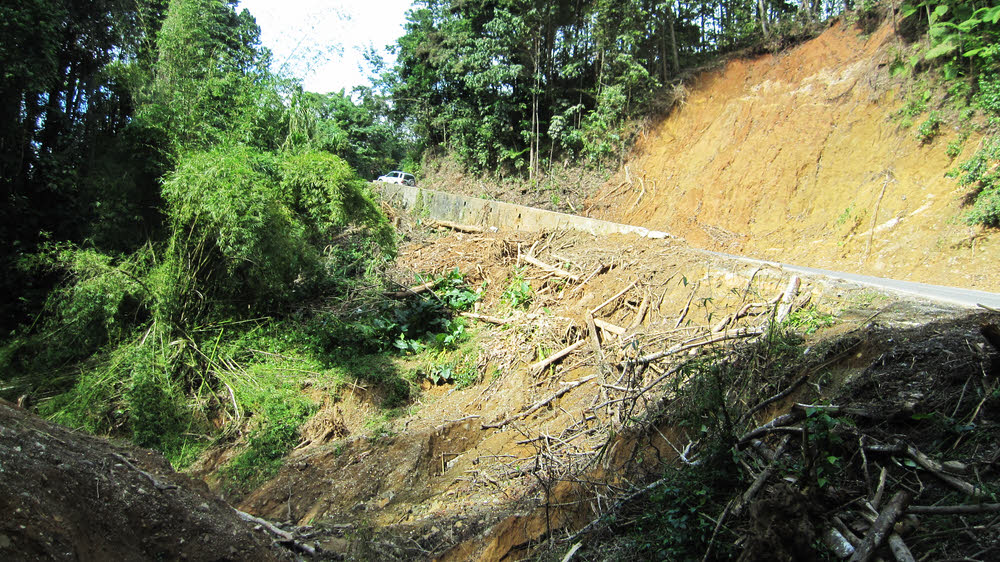 You can see the bare soil at the top-right where the tree-covered slope above the road slipped down onto the road and over the edge. (238k)