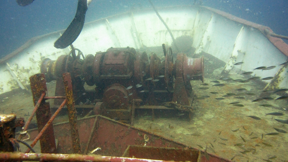 No coral yet on the Vicki B - she was only sunk three weeks previously.