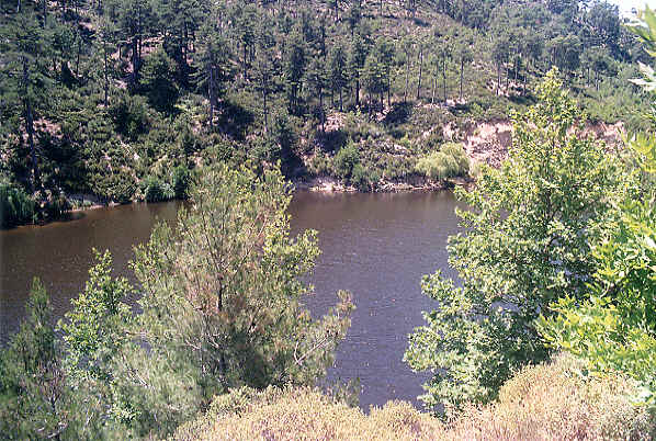 A miracle! A lake, well, all right, a large pond, on a Greek island!  By the side of the dirt track just after the village of Maries.  (69k)