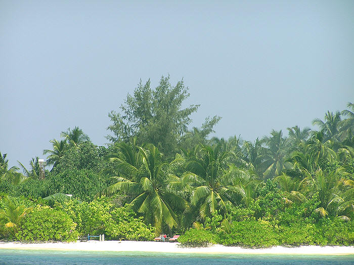 Beach on the south-west side. (97k)
