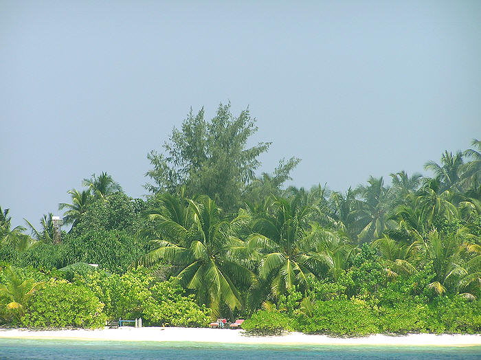 Beach on the south-west side.  (97k)