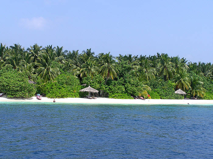 The accommodation is well hidden behind the the trees. (98k)