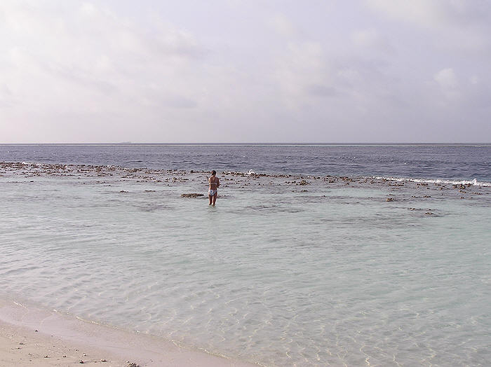 Low tide in front of our room reveals the reef out towards the drop-off. (53k)