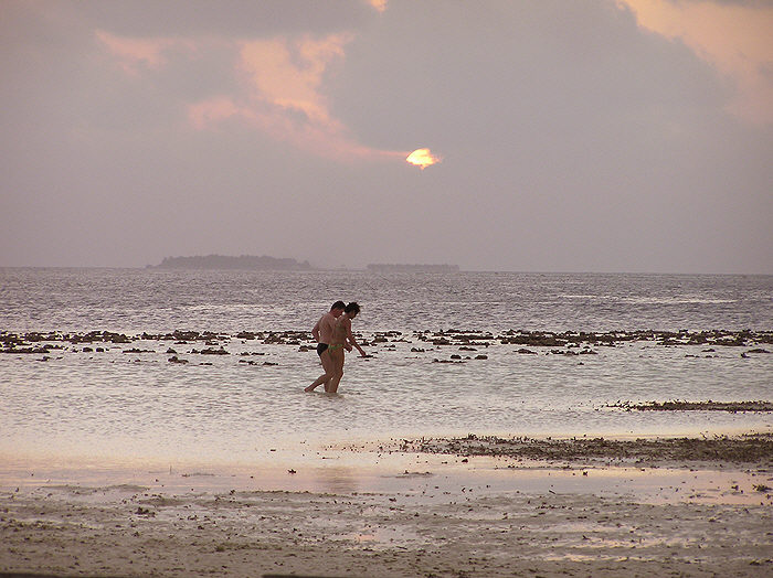 Looking west from the Sunset Bar in the evening at low tide. (91k)